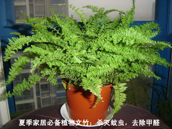 江西師大斯坦福環(huán)境研究中心,歡迎大家的瀏覽,本站是做關于南昌檢測和南昌除甲醛的一個門戶網站。 江西師大斯坦福環(huán)境研究中心,歡迎大家的瀏覽,本站是做關于南昌檢測和南昌除甲醛的一個門戶網站。